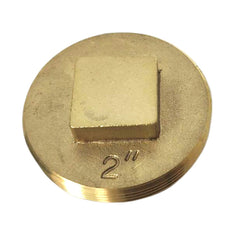 Picture of 2 inch IPS Brass Southern Code Raised Head Clean Out Plug