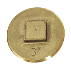 Picture of 3 inch IPS Brass Raised Head Southern Code Cleanout Plug
