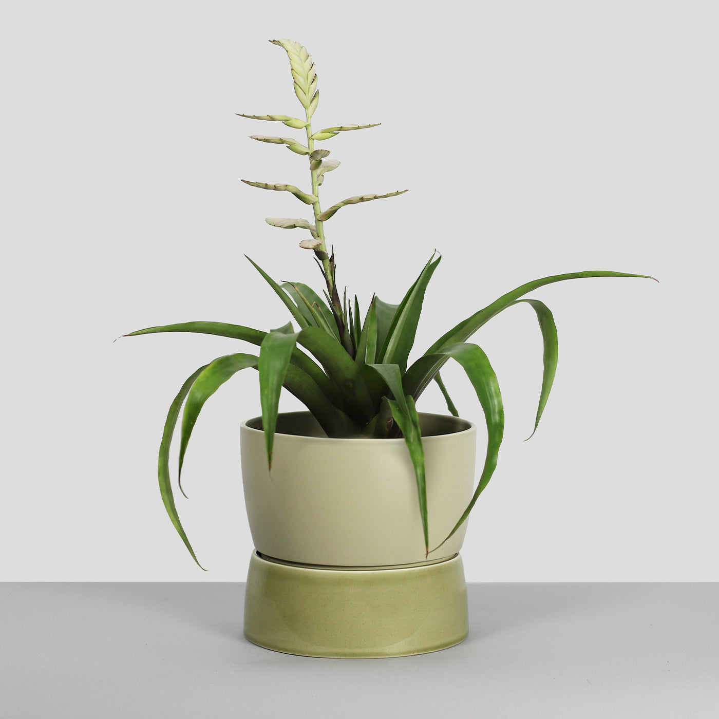 Se Two Tone Planter, Large - Artichoke green hos Ro Collection