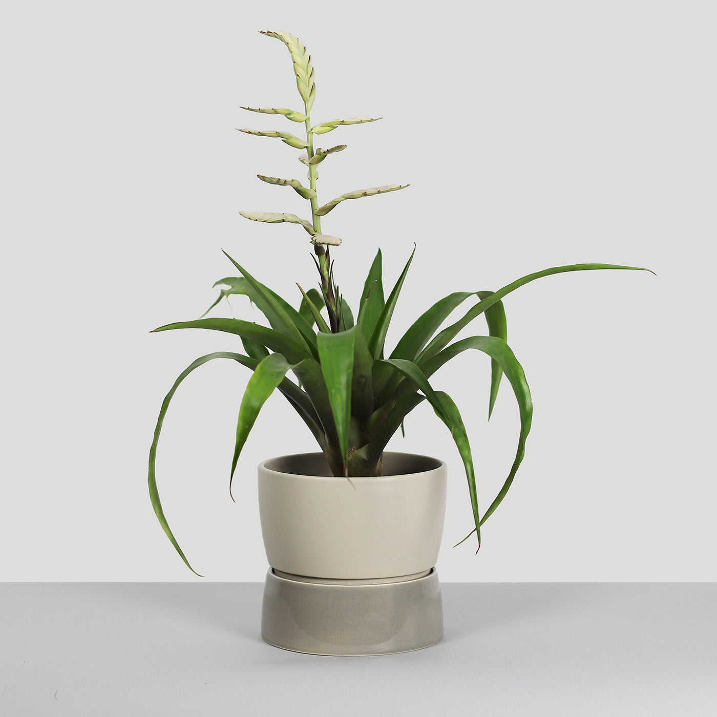 Two Tone Planter, Small - Dune grey