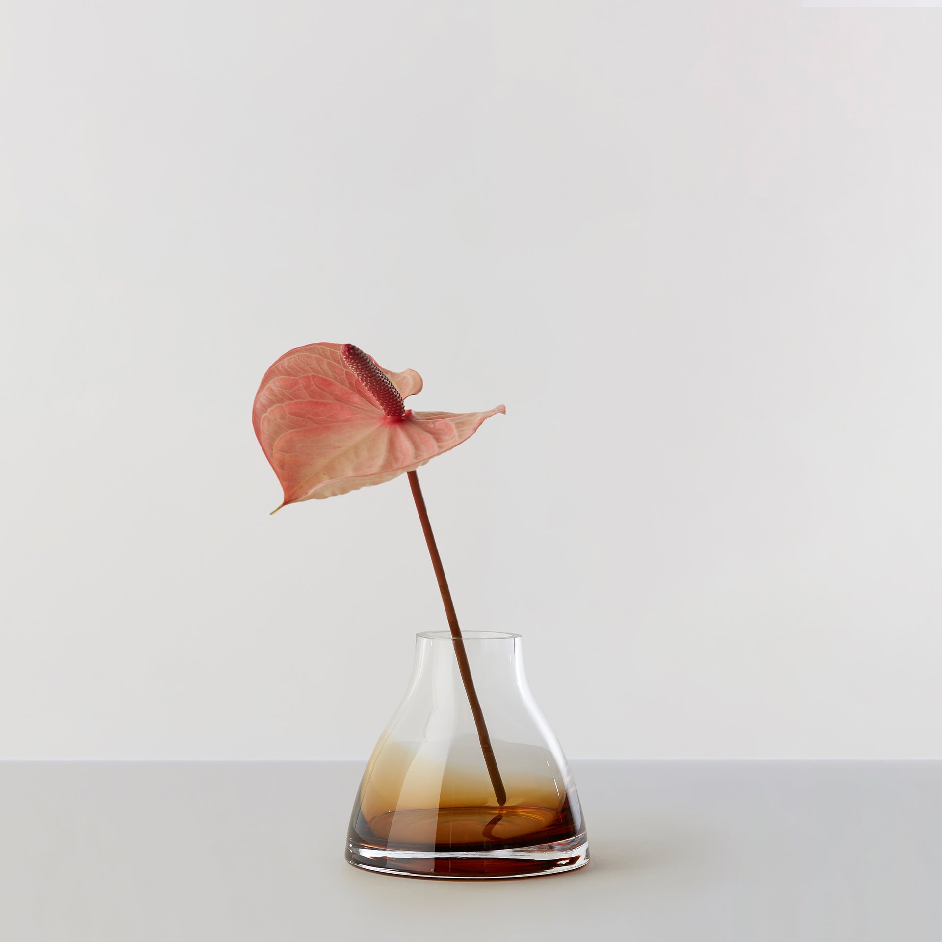 Se Flower Vase no. 1 - Burnt sienna hos Ro Collection