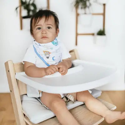 Bandana Bib