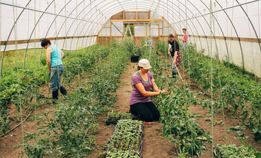 110-the-farm-hand-experience-workshop-1.jpg__PID:905a2313-2761-455a-8e77-ce77f3c58d61