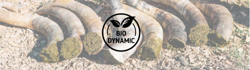 BIO-DYNAMIC-Banner-280x.jpg__PID:6a7b7e57-f6e8-453e-b878-18d000e16519