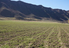 Nutrient Farm