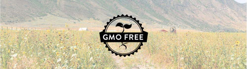 GMO-FREE-Banner-280x.jpg__PID:e974d0c6-3be8-42ea-8c34-4c14a9b5b5e8