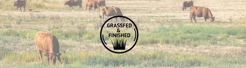 GRASS-FINISHED-Banner-280x.jpg__PID:7122dc9b-eb0f-42c0-875f-22cbb338c1d0