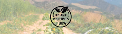 ORGANIC-PRINCIPLES-Banner-280x.jpg__PID:d4c96890-5bc6-45e8-9b56-af000630b247