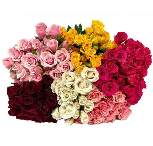 Spray Roses, 10 stems - Choose Your Color cream roses