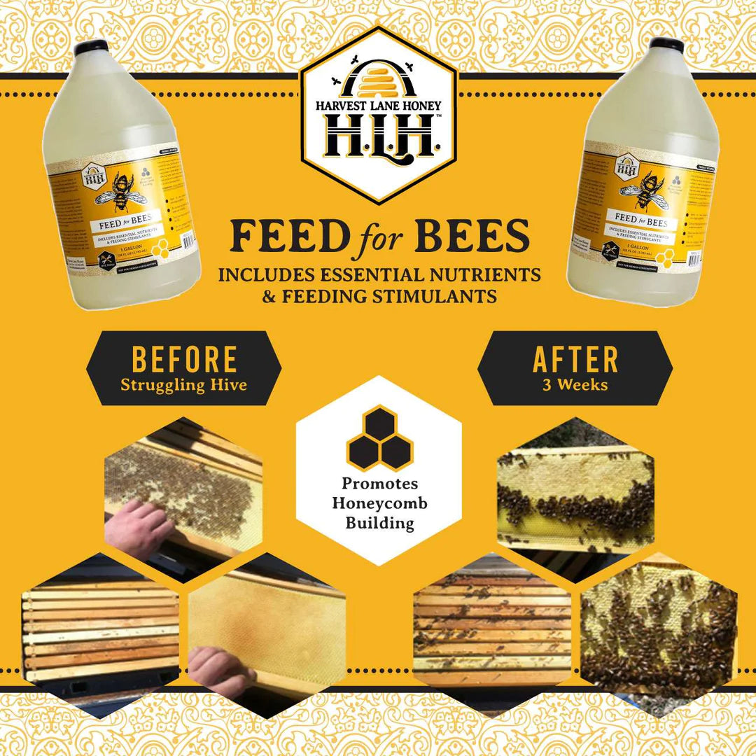 feedforbeeswithessentialoils-webp