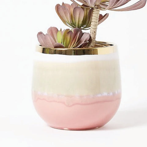 Pink Plant Pot for cosy cubicle