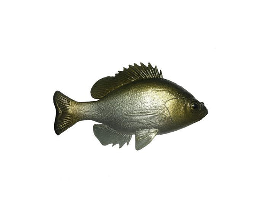 BlueGill TH ROF 12