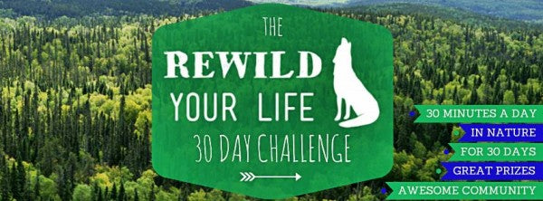 rewild your life