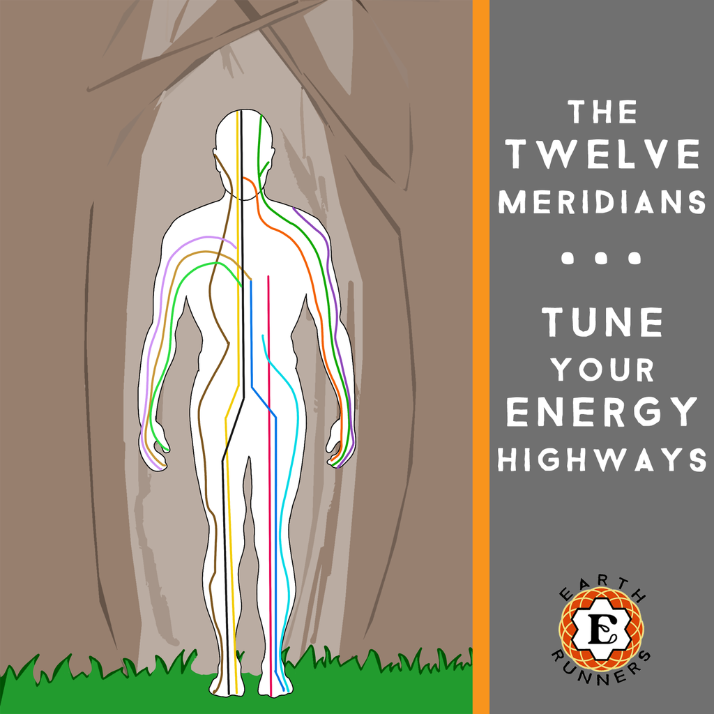 tuning 12 meridians channels through forest bathing