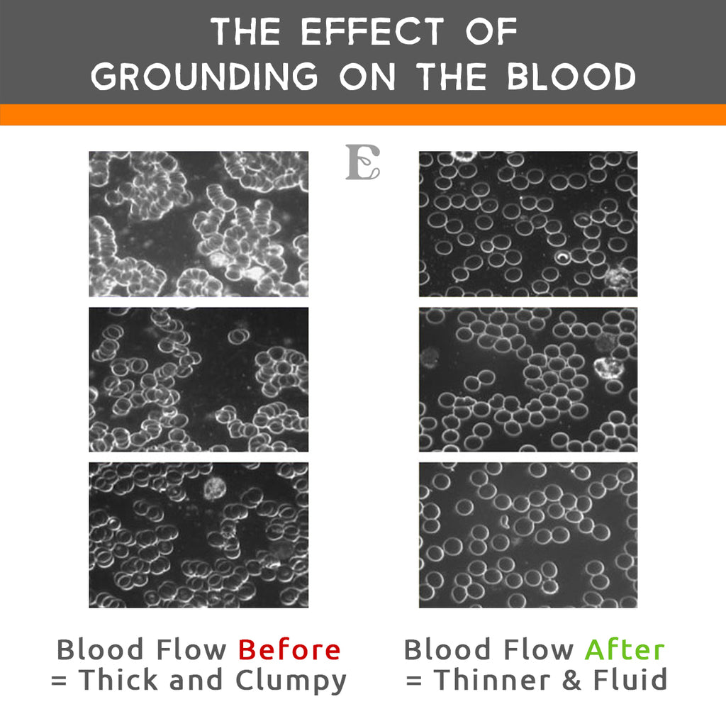 earthings effect on blood