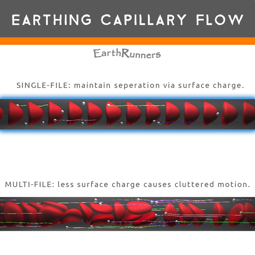 earthing affects capillary blood flow