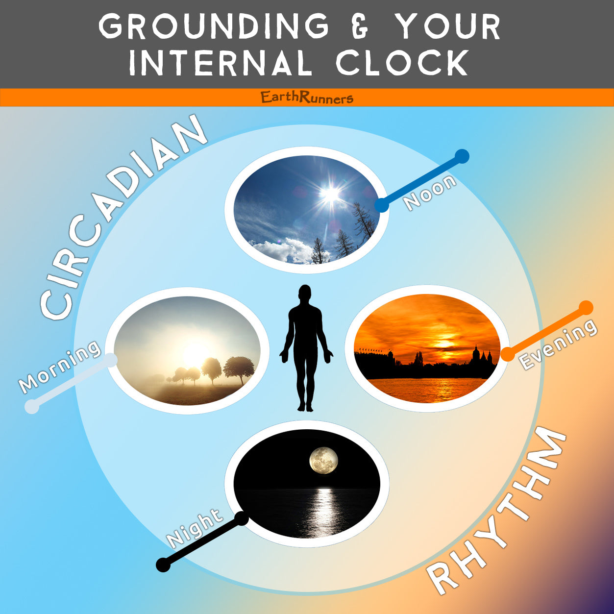 earthing syncs circadian rhythm