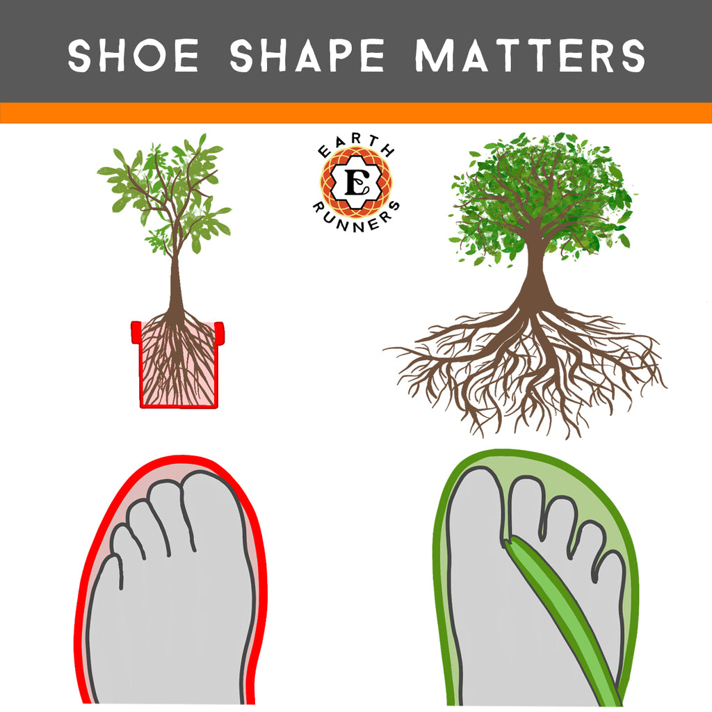 shoe shape matters conventional vs minimalist