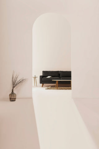 arc incurvé blanc plafond et mur avec canapé noir et petite table basse petit vase avec plantes tapis naturel