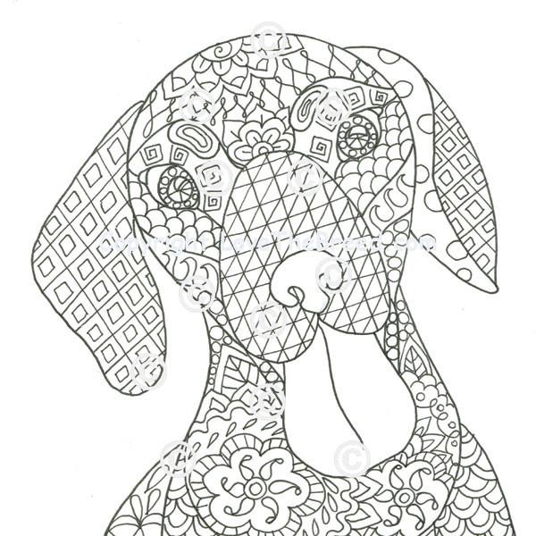 Dachshund Coloring Books for Adults and Children