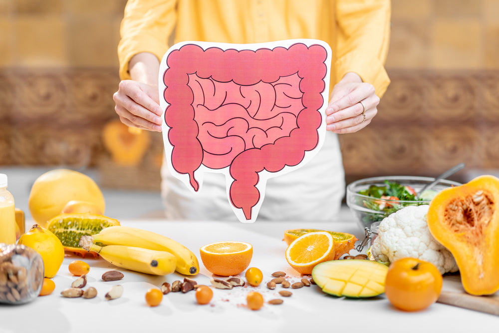 The Role of the Gut Microbiome