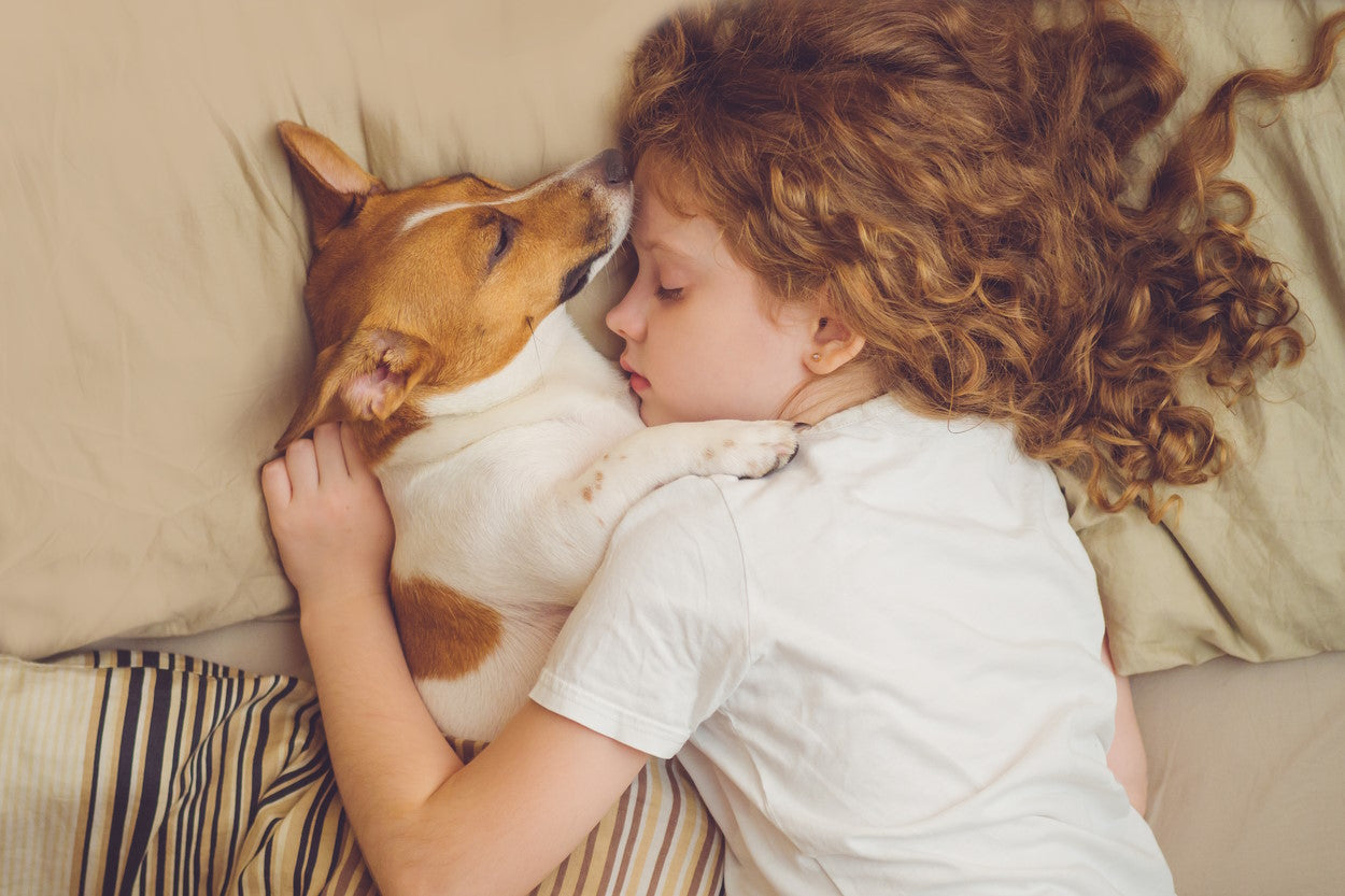 why should your dog sleep with you