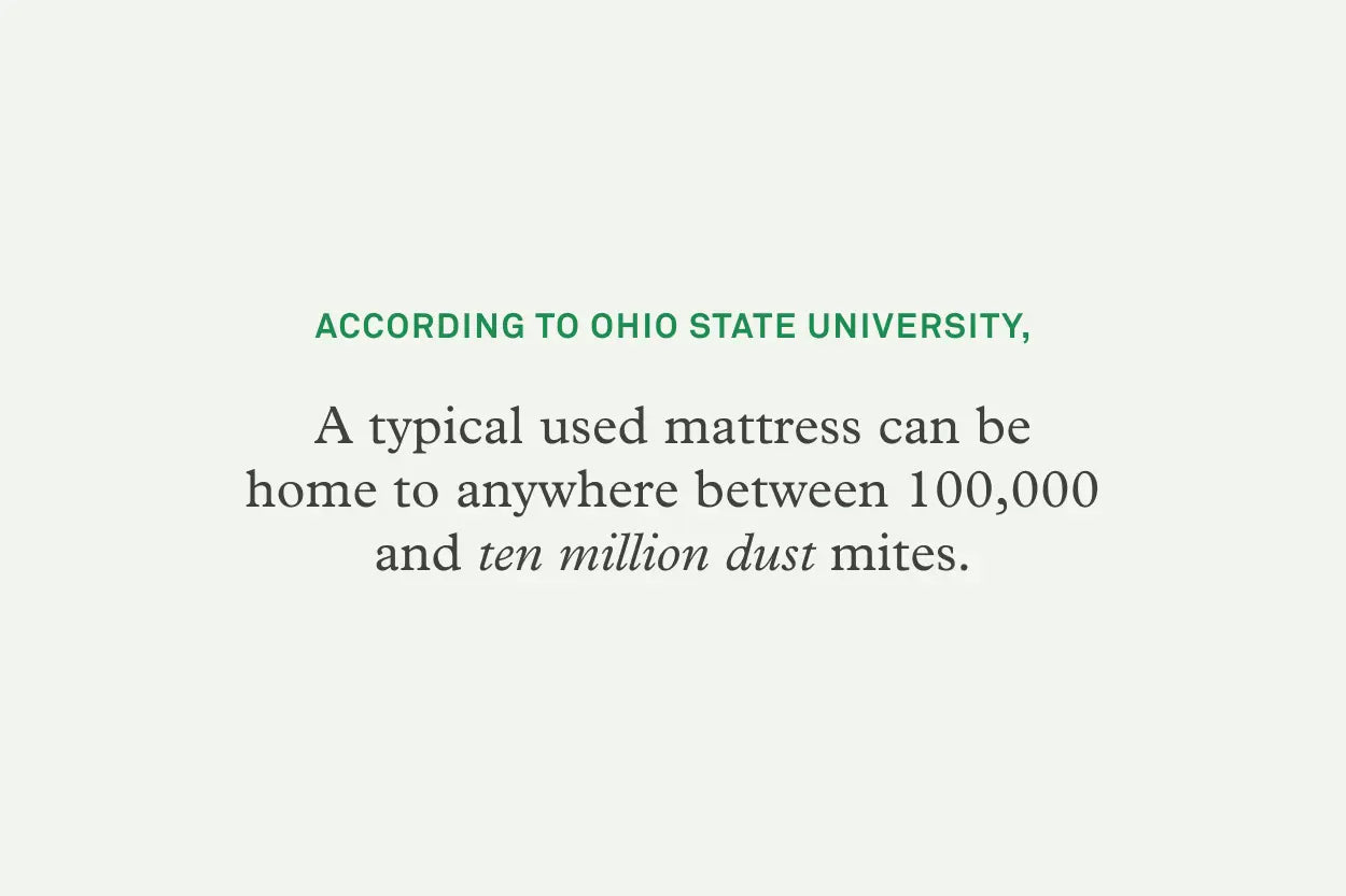 A typical used mattress can be home to anywhere between 100,000 and ten million dust mites.