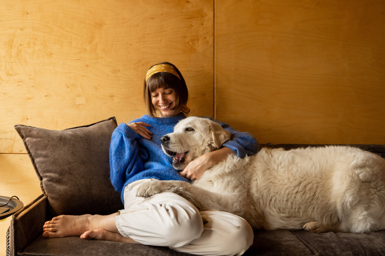 Woman cuddling with cute, furry dog on couch
