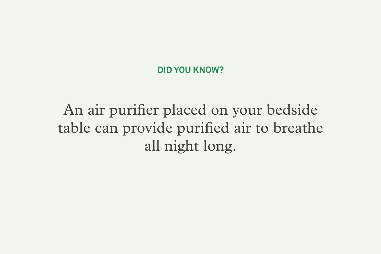 An air purifier placed on your bedside table can capture and destroy airborne dust mites that get thrown into the air as you toss and turn, providing purified air to breathe all night long.