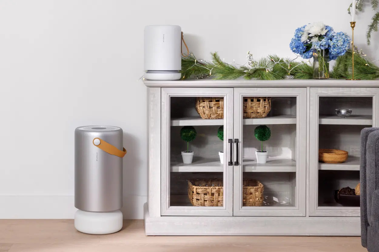 Molekule Air Pro and Air Mini+