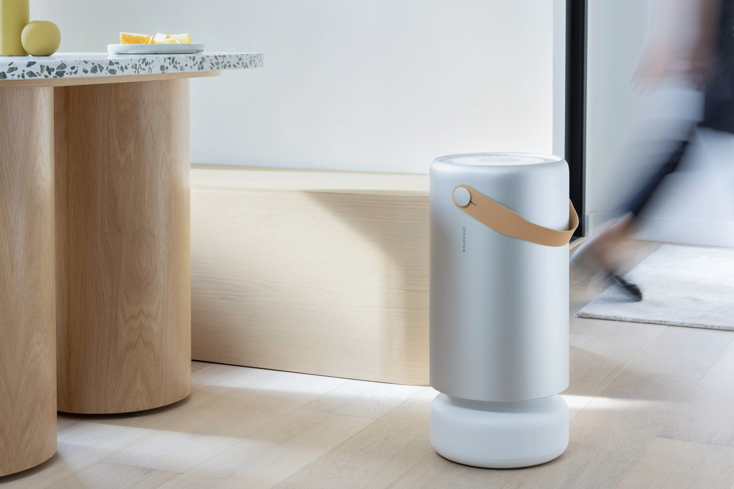 Molekule Air Pro