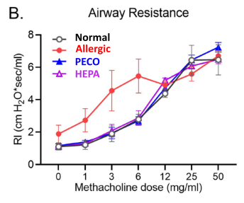 Graph of airway resistance