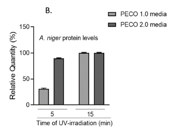 Graph of PECO destruction of A niger proteins