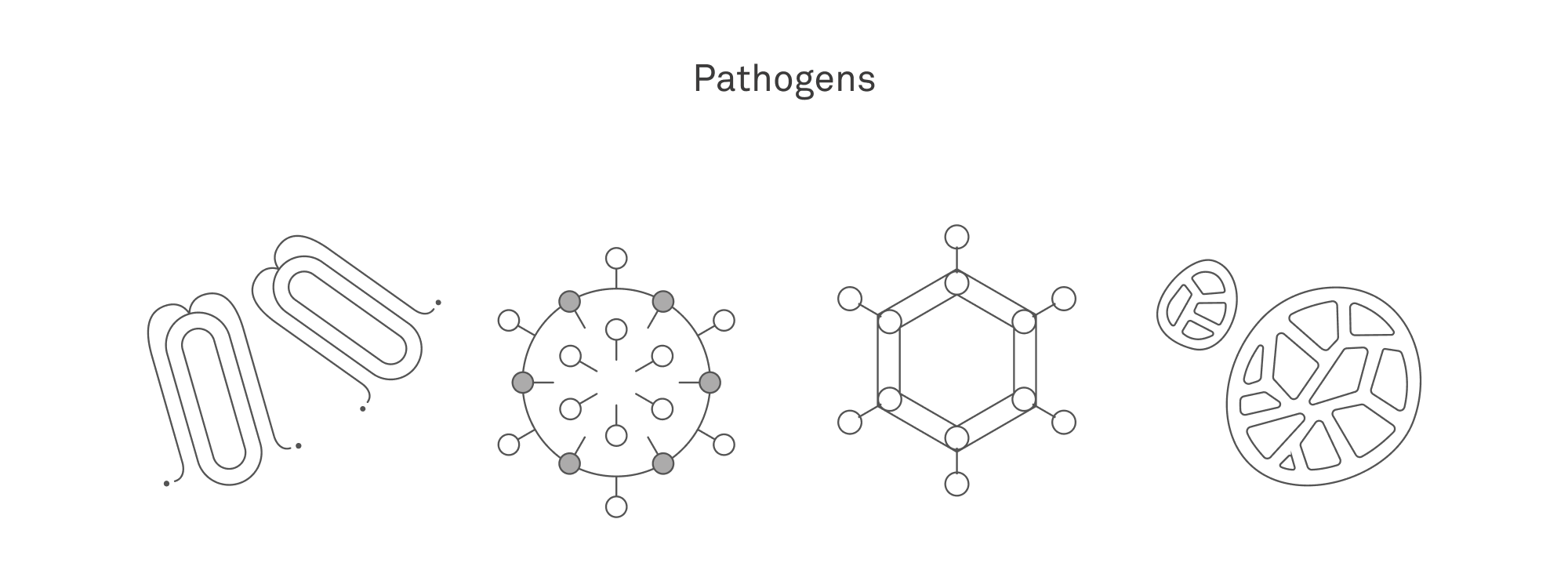 Vector art of pathogens such as viruses and bacteria