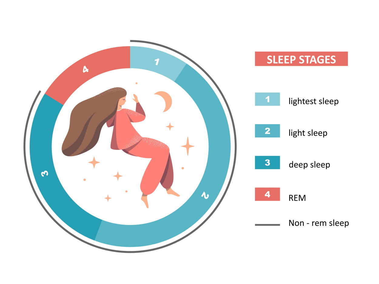 Illustration of woman sleeping with sleep stages in a pie chart form