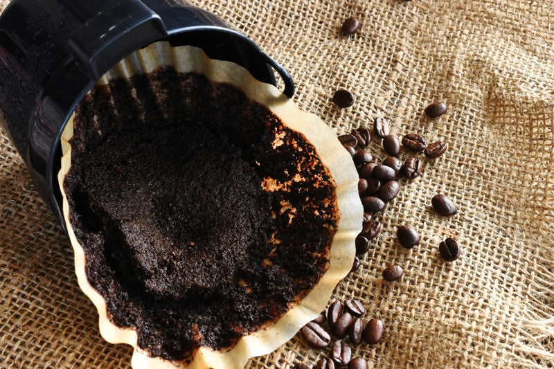 Coffee filter full of used coffee grounds