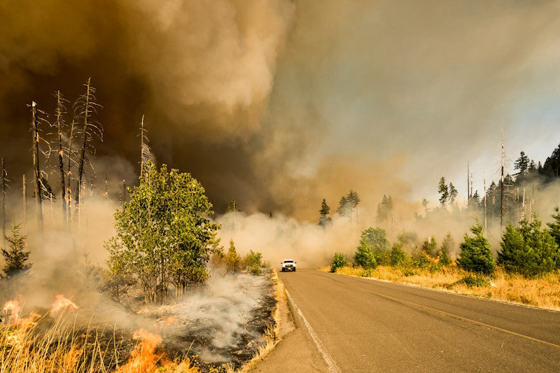 View down a road with fire encroaching and a lot of smoke