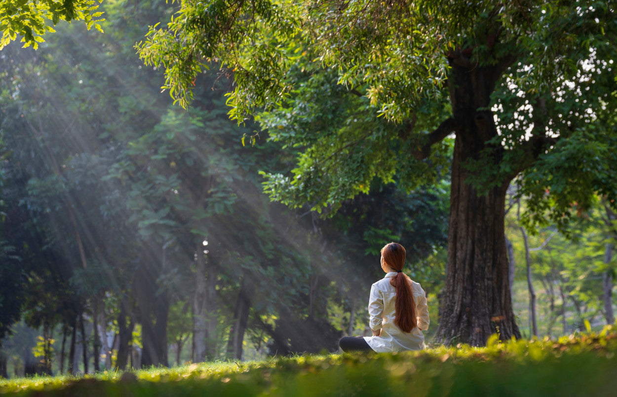 A woman sitting under a tree in a park