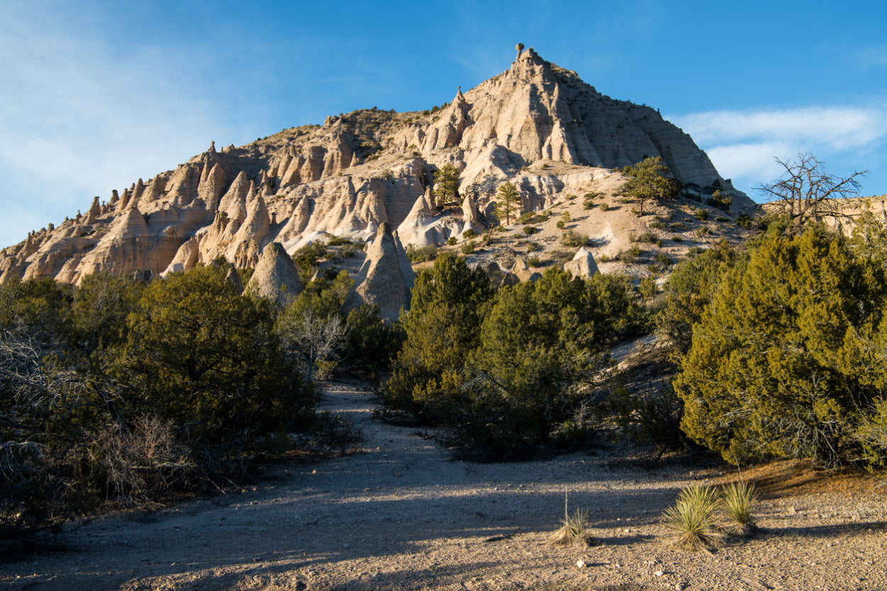 Juniper trees on a desert peak in New Mexico