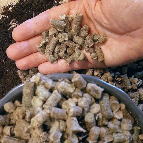A hand pouring EcoWool pellets into a flower pot.
