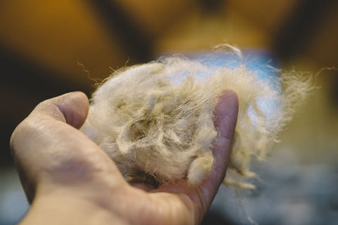 Hand holding some loose wool.