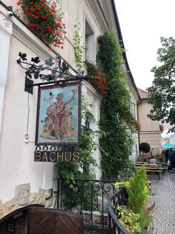 Bachus wine cellar in Zielona Gora Poland