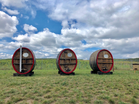 Lubuskie region vineyard touring during Winobranie Festival