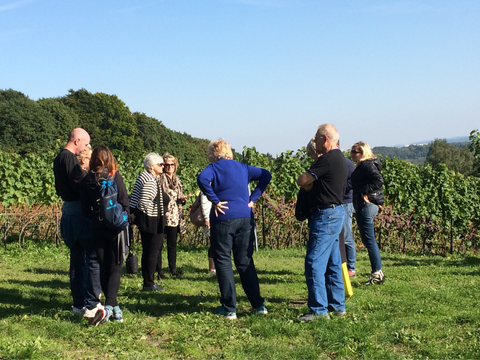 Srebrna Gora Vineyard in Lesser Poland region