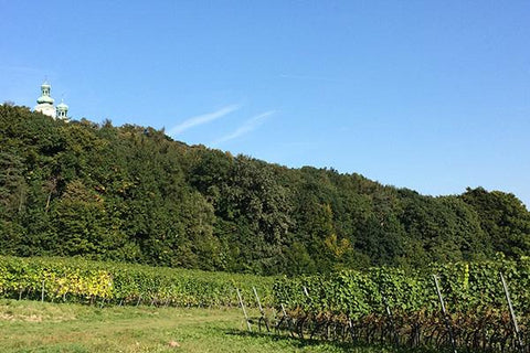 Srebrna Gora Vineyard Camaldolese Fathers Monastery Krakow, Poland