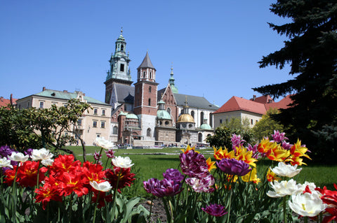 Wawel Hill in Krakow, Poland