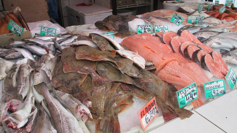 Fresh fish sold at Hala Targowa market in Gdynia