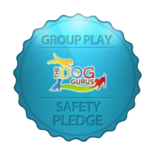 Group Play badge