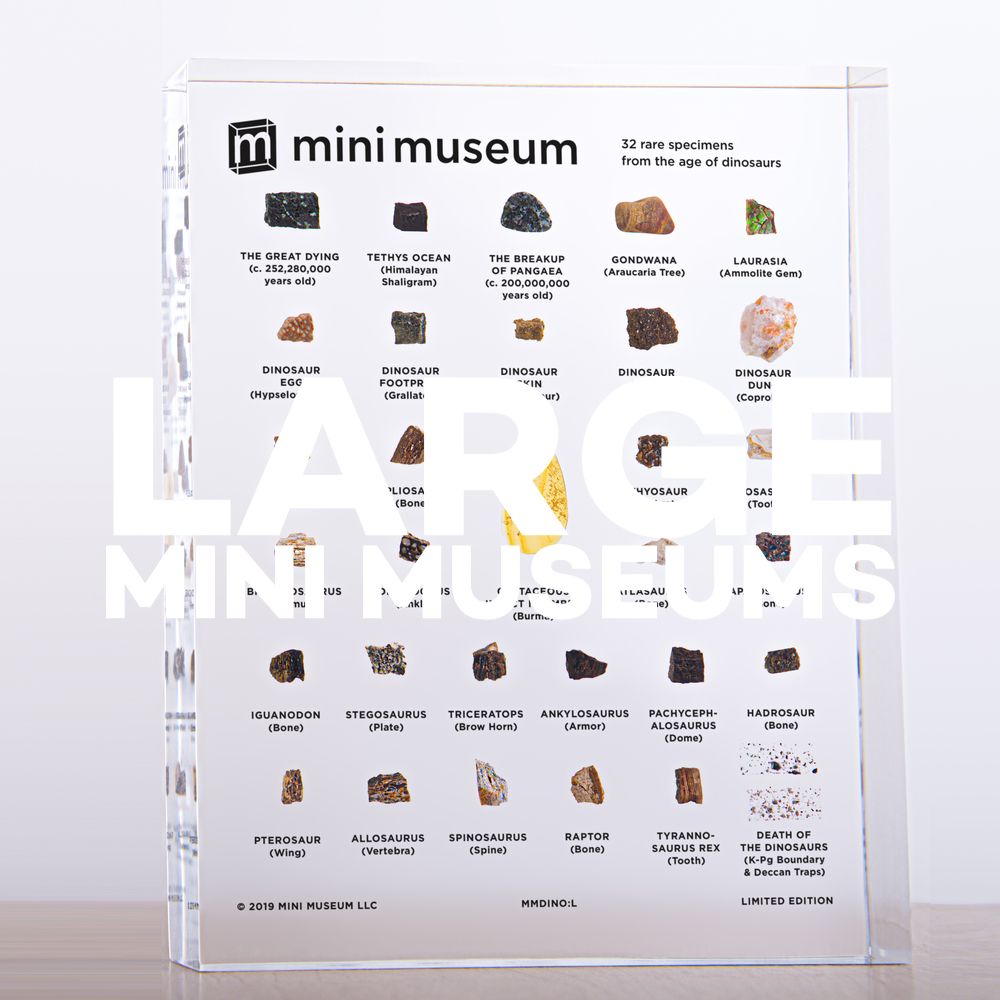 Large Mini Museums