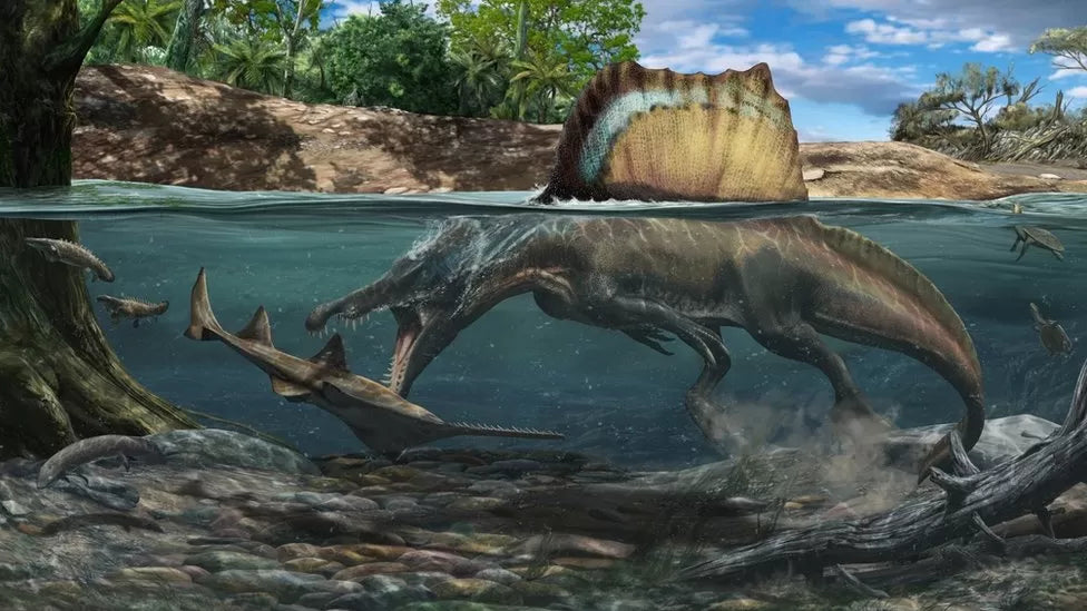 An illustration of the new Spinosaurus model hunting in the river